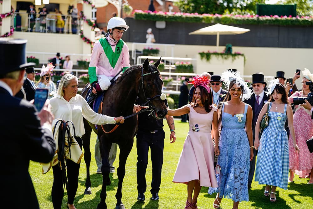 caballus ownership